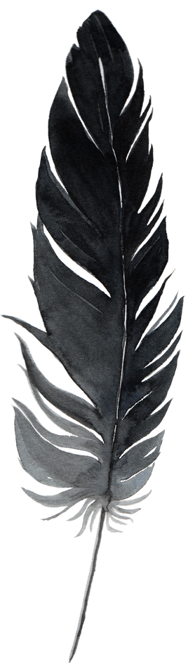black  feather watercolor