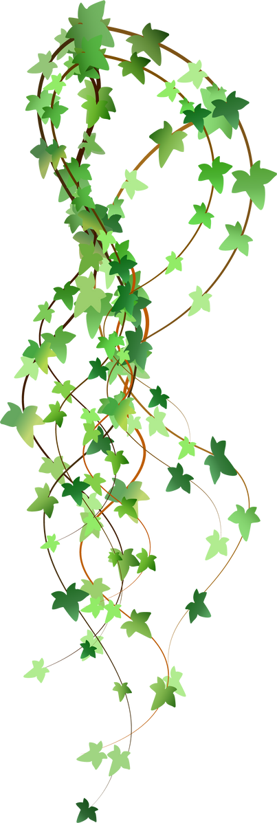 Green liana.